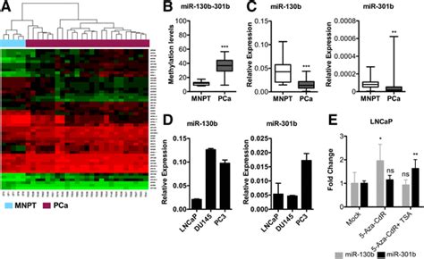 Differentially Methylated Micrornas In Prostate Cancer A Unsupervised