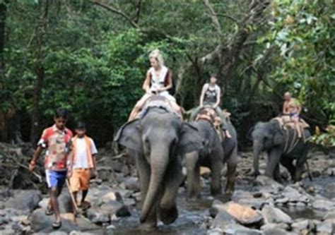 Wildlife Sanctuaries in West India | Wildlife in India