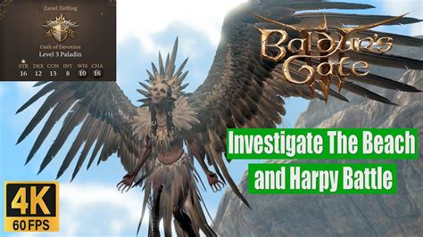 Baldurs Gate 3 Walkthrough Investigate The Beach And Harpy Battle