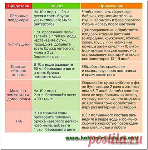 От каких вредителей помогает березовый деготь: таблица-памятка приме ...