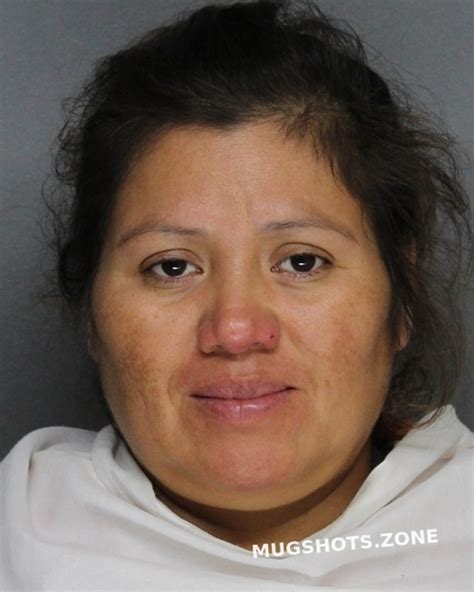 Hernandez Irene Ellis County Mugshots Zone