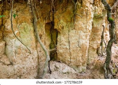 Loess Rock Slope Wall Natural Landscape Stock Photo