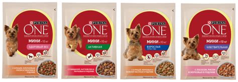 Корм для собак Пурина Ван (Purina ONE): состав, отзывы