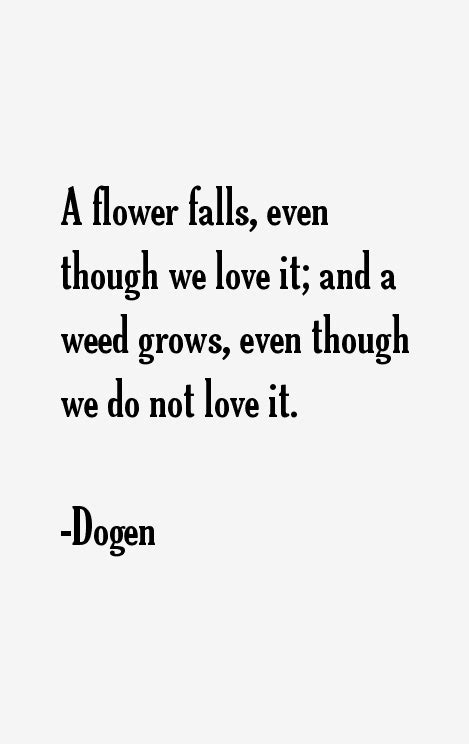 Dogen Quotes & Sayings