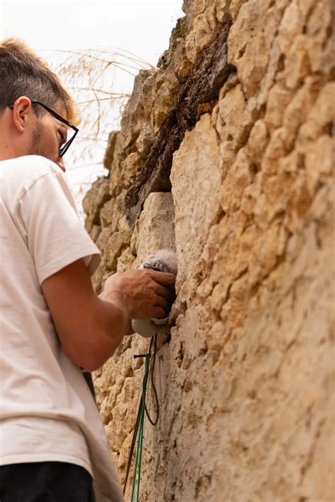 Secourir Groupe Ornithologique des Deux Sèvres