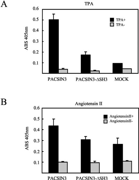 PACSIN3 Binds ADAM12 Meltrin α and Up regulates Ectodomain Shedding of