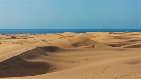 Asalto En Las Dunas De Maspalomas