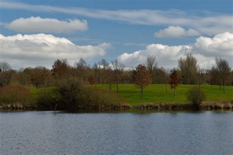 Free Images Beach Landscape Tree Water Nature Grass Marsh