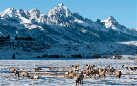 Visiting Grand Teton National Park In March Photojeepers