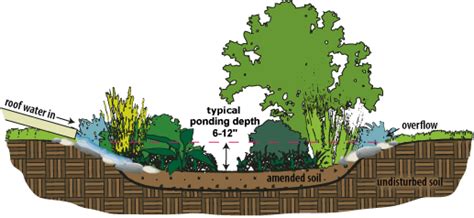 Rain Garden Usare Il Verde Contro Allagamenti Ed Erosione Parte