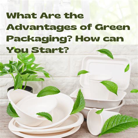 What Are The Advantages Of Green Packaging For Your Restaurant And How