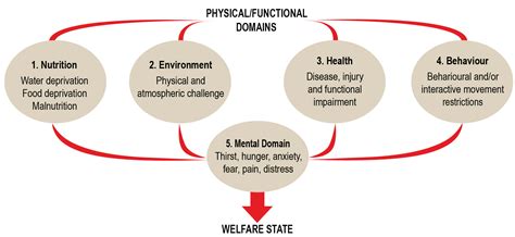 Animals Free Full Text The 2020 Five Domains Model Including Human