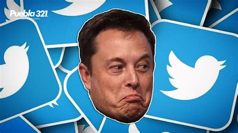 Usuarios En Redes Votan Por Que Elon Musk Deje De Ser Ceo De Twitter