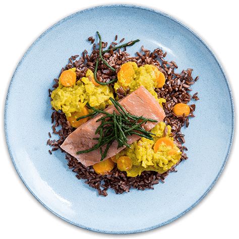 kooc gezonde  biologische kant en klaar maaltijden kooc