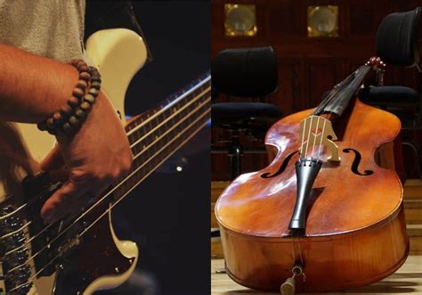 What’s the Difference Between a Bass and a Double Bass – Traveling ...