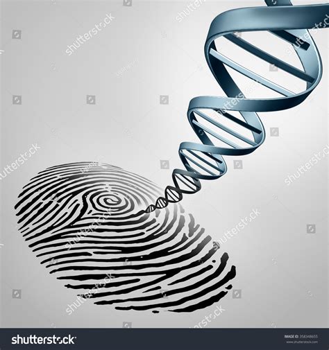 Genetic Fingerprinting As A Fingerprint With Dna Emerging Out As A