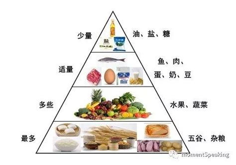 营养金字塔的结构图 营养金字塔 食物金字塔图片 第2页 大山谷图库