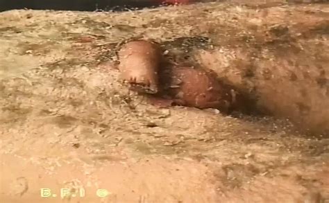 Free Gay Extreme Porn Videos XHamster