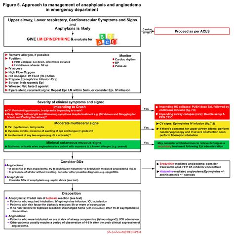 Anaphylaxis And Angioedema Practical Approach To Diagnosis And