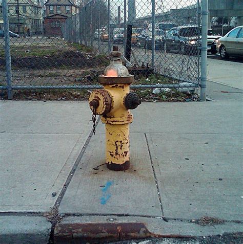 Fyi Why Some New York Fire Hydrants Are Yellow The New York Times