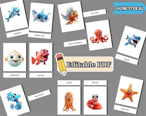 Sea Animals Flashcards PDF Printable Card Editable - Etsy