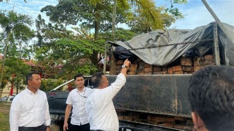 Polda Kepri Tangkap Tiga Pickup Muatan Kayu Ilegal Dari Hutan Lingga