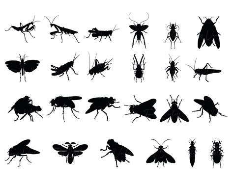 Insect Silhouette Insect Svg Insect Clipart Bugs Svg Etsy