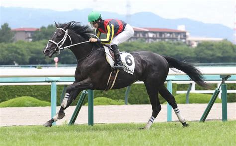 【阪神5r新馬】ギャンブルルームv 松山「直線は切れましたし、強い競馬をしてくれました」 スポニチ競馬web