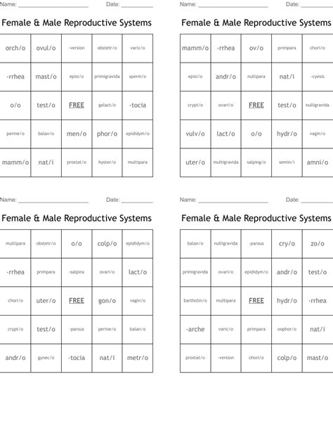 Reproductive System Bingo Cards Wordmint