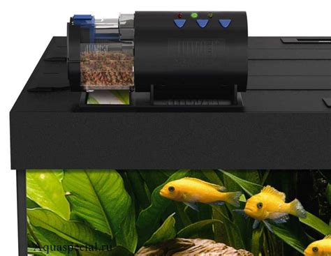 Автокормушка для аквариума: виды автокормушек, какую выбрать?