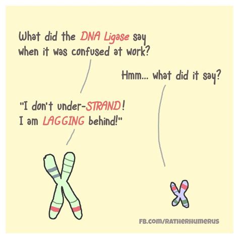 Funny Biology Jokes