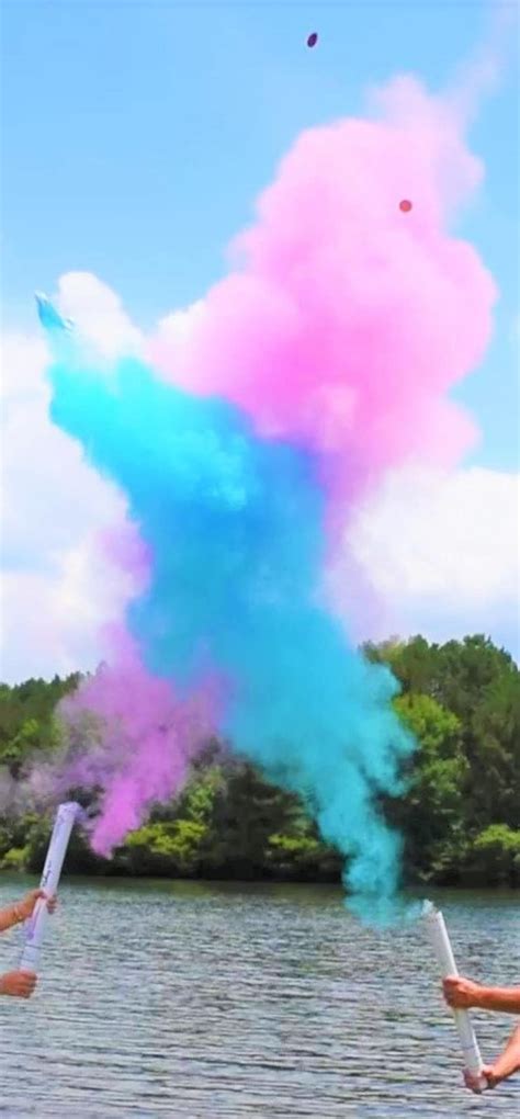 Gender Reveal Powder Cannon 24 Cannon Gender Reveal Etsy