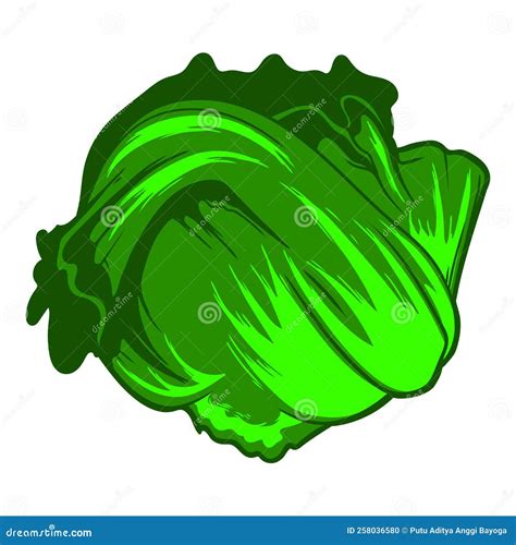 Cartoon cabbage stock vector. Illustration of simple - 258036580