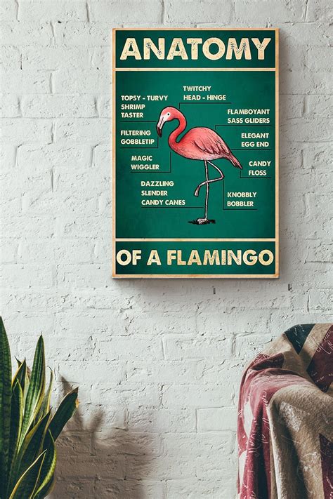 Anatomy Of A Flamingo Poster, Canvas – Lifegifts.net