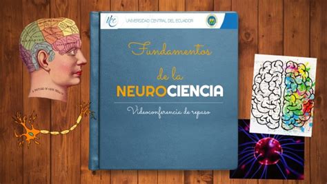 Taller Neurociencias