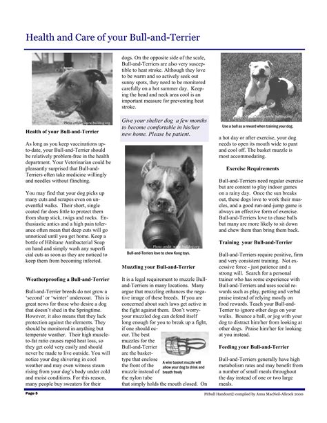 Pit Bulls - info, facts and education. | PDF