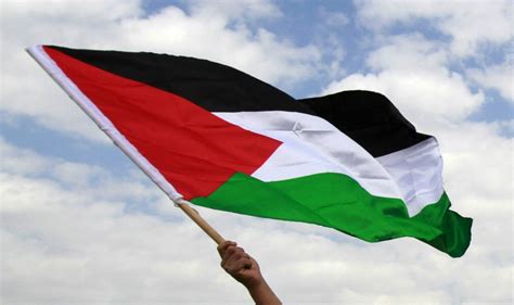 Fly The Flag For Palestine Ihrc