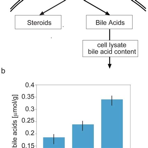 Presence Of Bile Acids Synthesis Enzymes In Human Ovarian Follicle Download Scientific Diagram