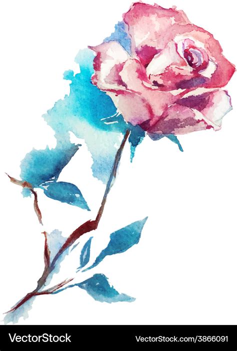 Rose watercolor sketch Royalty Free Vector Image