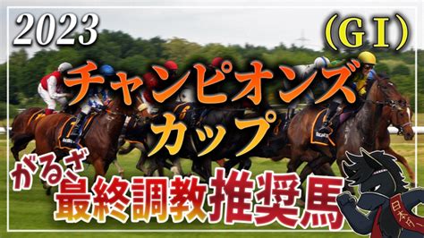 【今週のがるざ最終調教推奨馬】2023年チャンピオンズカップ（gⅠ） 【競馬好きへ】がるちゃんの初めの一歩