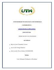 Tratado Tarea Grupal Final Docx Universidad Tecnologica De Honduras