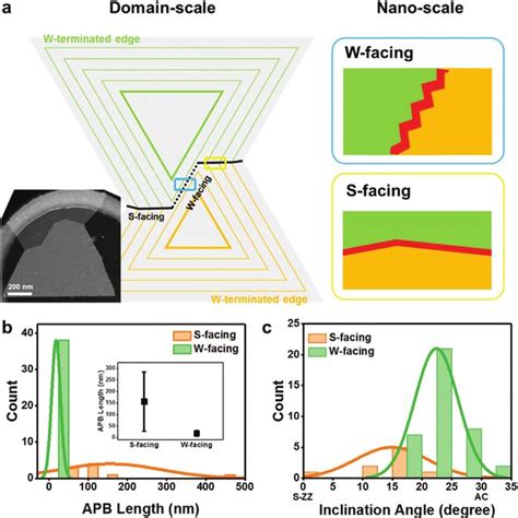 Antiphase Boundaries Apbs Of Ws A Df Tem Image And B