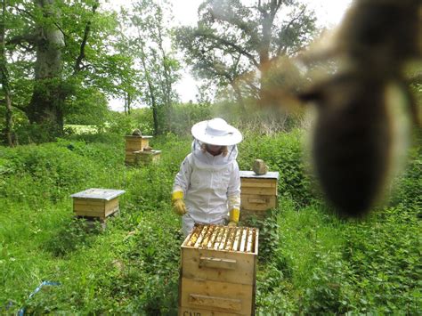 Media | Brookfield Farm