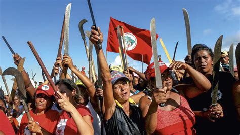 Brasil Sem Medo Mst Invadiu Terras Agricult Veis E De Preserva O