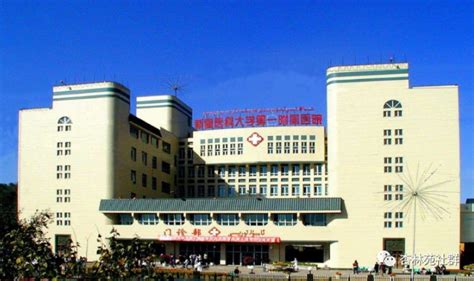 Xinjiang Medical University (CSC) Scholarship 2023-2024 - China ...