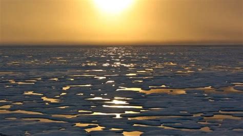 Study Arctic Sea Summers Could Be Ice Free By Early S