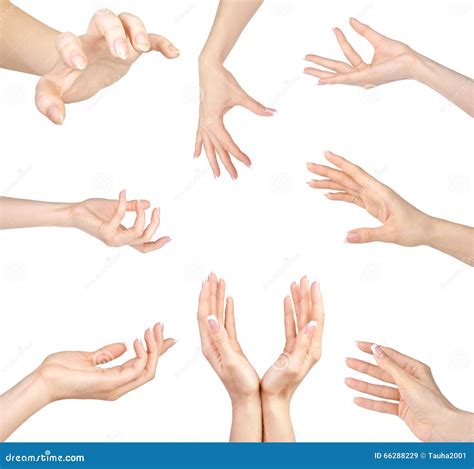 Collage Of Woman Hands Gestures Set On White Stock Image Image Of