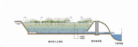 潮汐流人工湿地 沁霖生态