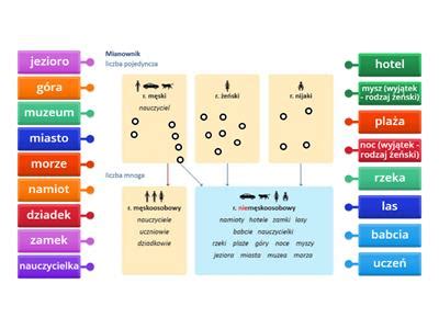 Liczba Mnoga Mianownik Materia Y Dydaktyczne