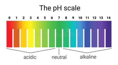 Ph Scale. Infographic Acid-base Balance. Scale for Chemical Analysis ...